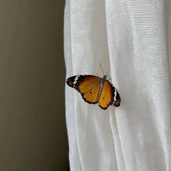 Mood - Picture 6 of 13